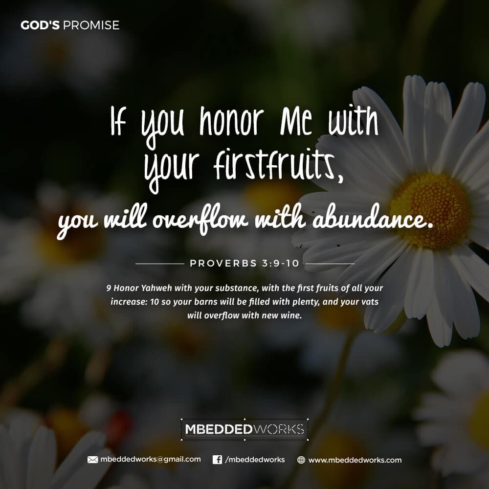 God Promise