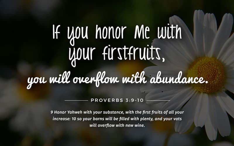 God Promise